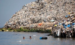 Мусорные острова, «микропластик», нефтяные пятна – человечество убивает океанских жителей.