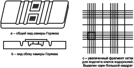 Рисунок камера горяева