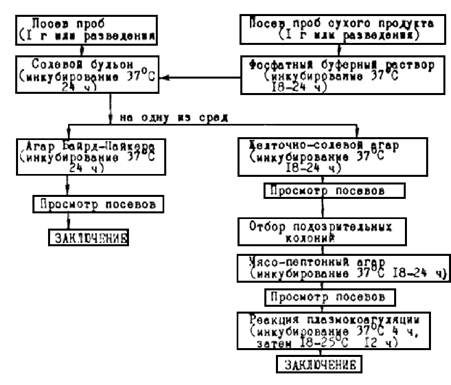 Схема микробиологического контроля производства масла
