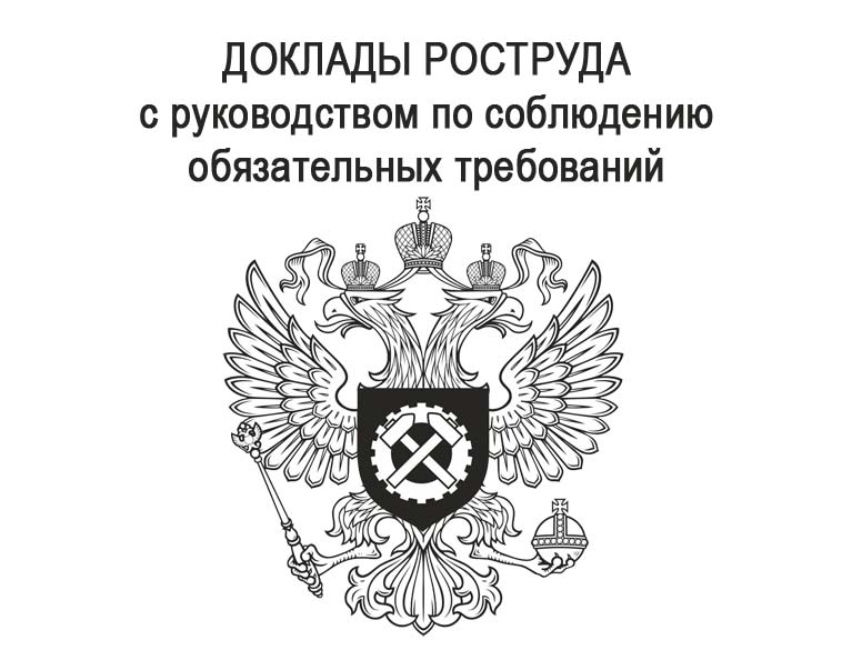 Презентация на тему федеральная служба по труду и занятости