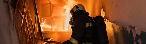 ������� ������ ����� ������� � ������ � �������� ������������