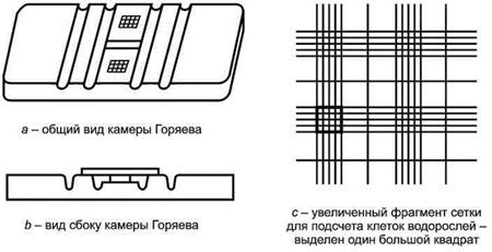 Камера горяева схема