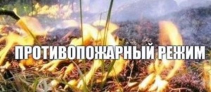 Изменения в Правила противопожарного режима в Российской Федерации