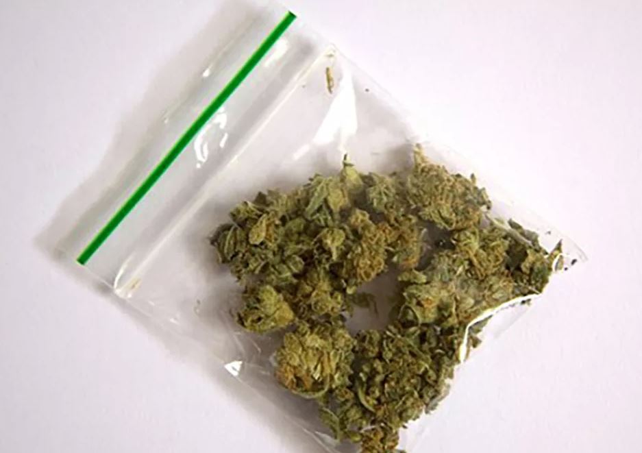 Пакет марихуаны конопля за руль