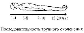 Трупное окоченение презентация