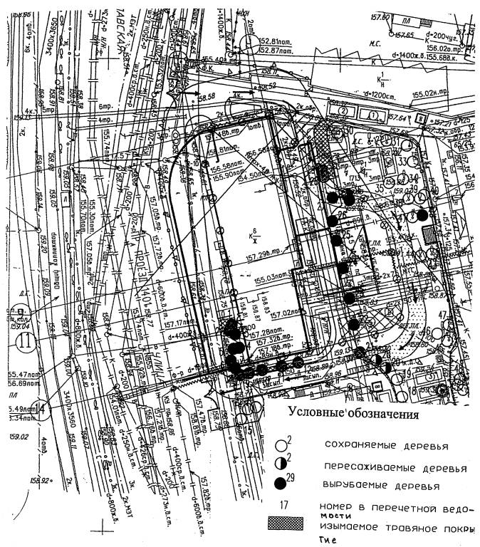 Перечетная ведомость деревьев и кустарников города Москвы (, рекомендуемый образец заполнения)