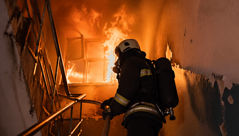 ������� ������ ����� ������� � ������ � �������� ������������