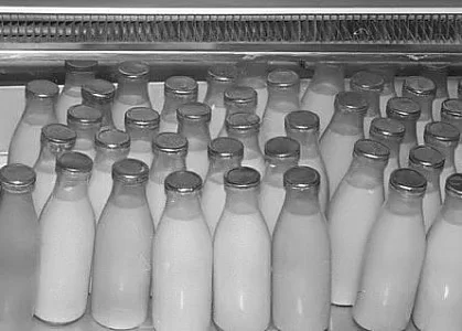 Регуляторная гильотина отменила перечни профессий с правом на молоко